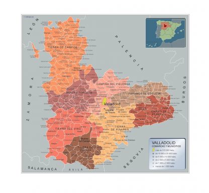 Mapa Valladolid por municipios enmarcado plastificado 