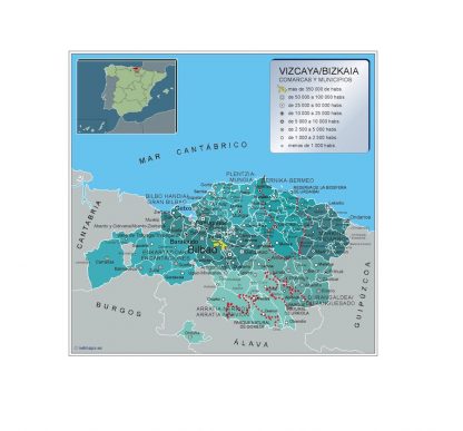 Mapa Vizcaya por municipios enmarcado plastificado 